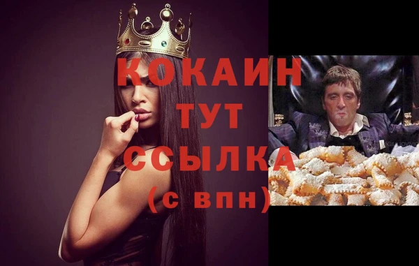 спайс Щигры