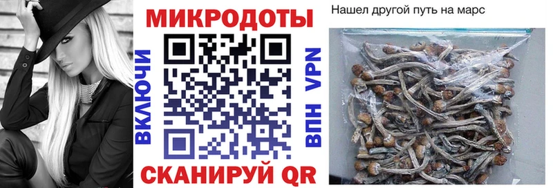Галлюциногенные грибы мухоморы  Люберцы 