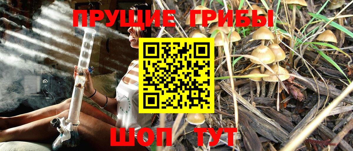 Люберцы  Галлюциногенные грибы мухоморы  наркотики  Вход с VPN 